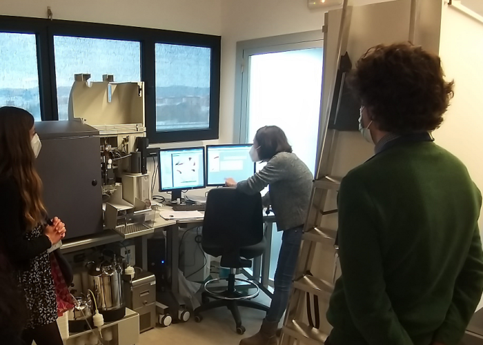 IMIBIC Research Services - Cytometry